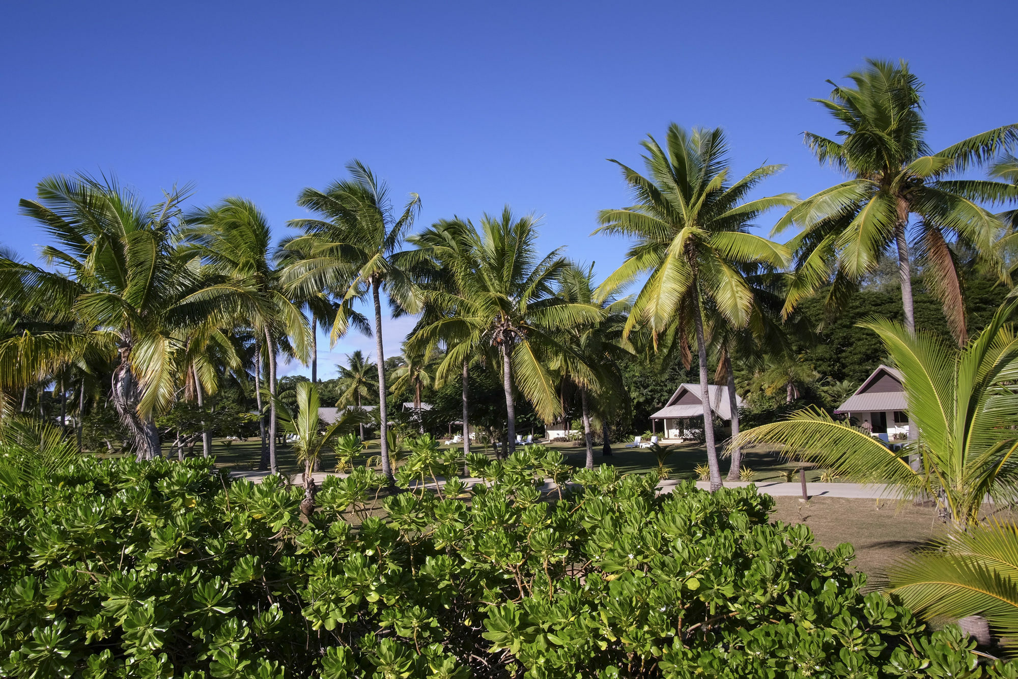 Musket Cove Island Resort Malololailai Esterno foto