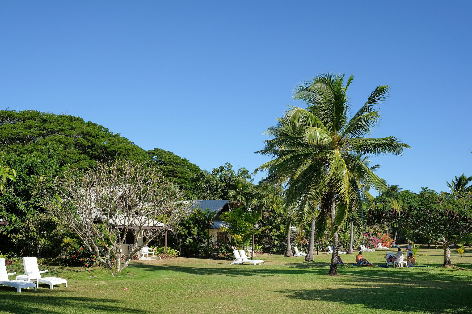 Musket Cove Island Resort Malololailai Esterno foto